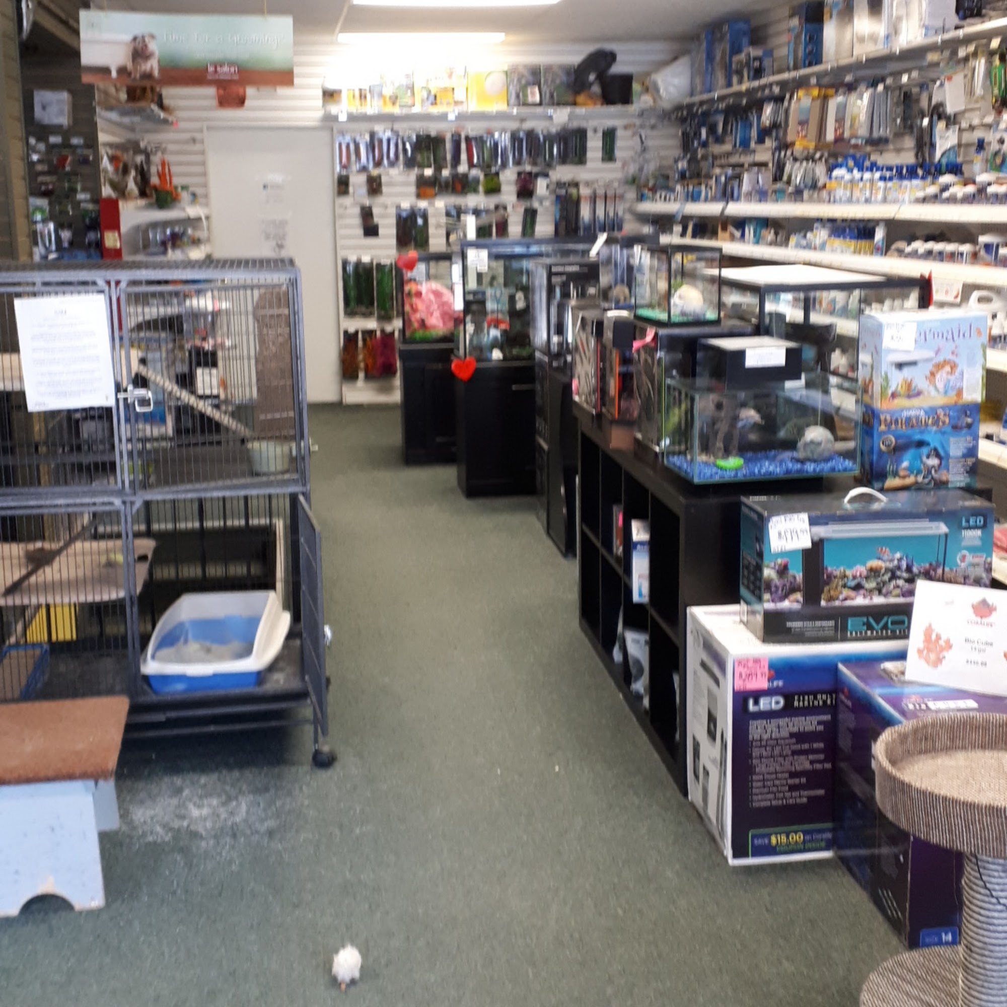 Rick's Pet Stores Renfrew