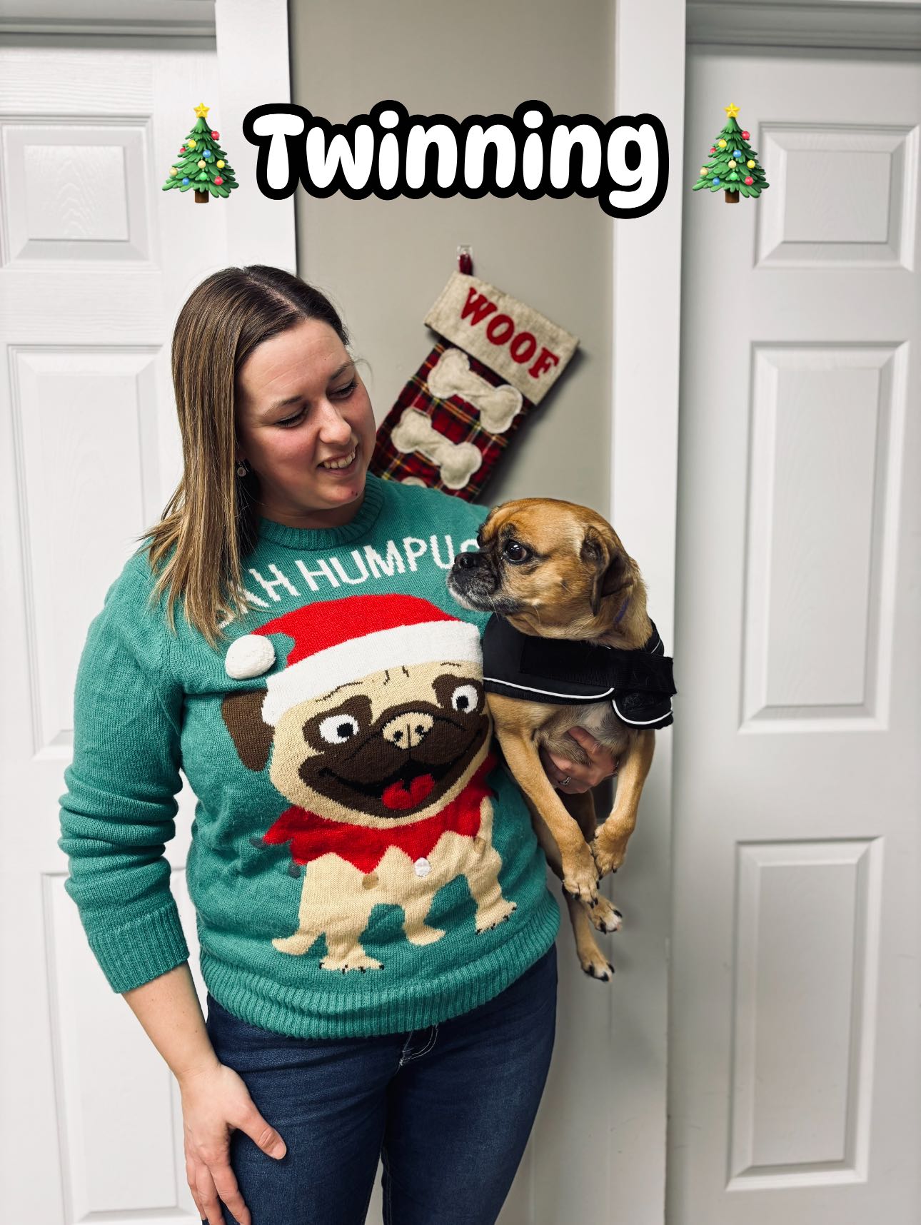 Pinnacle Animal Hospital Renfrew