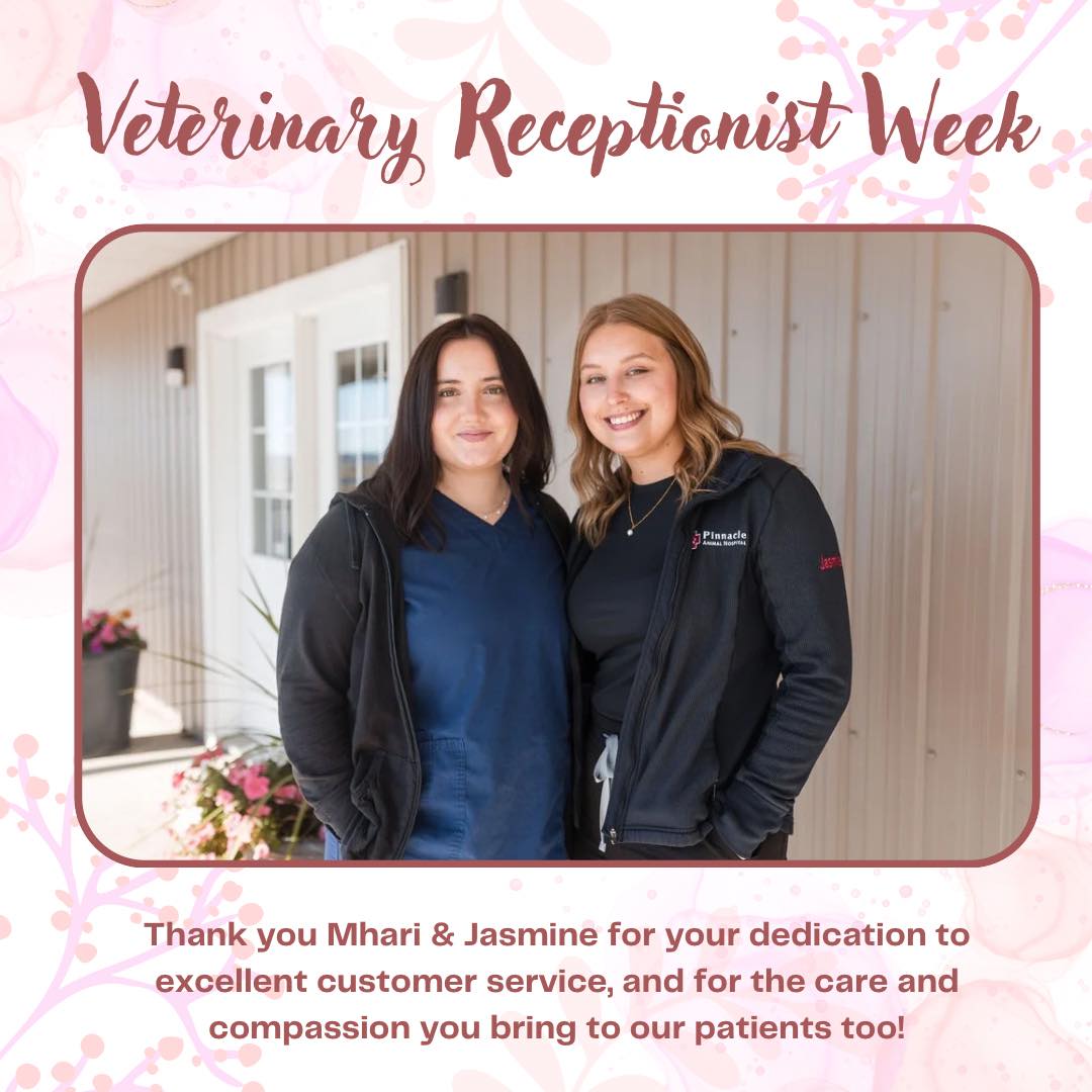 Pinnacle Animal Hospital Renfrew