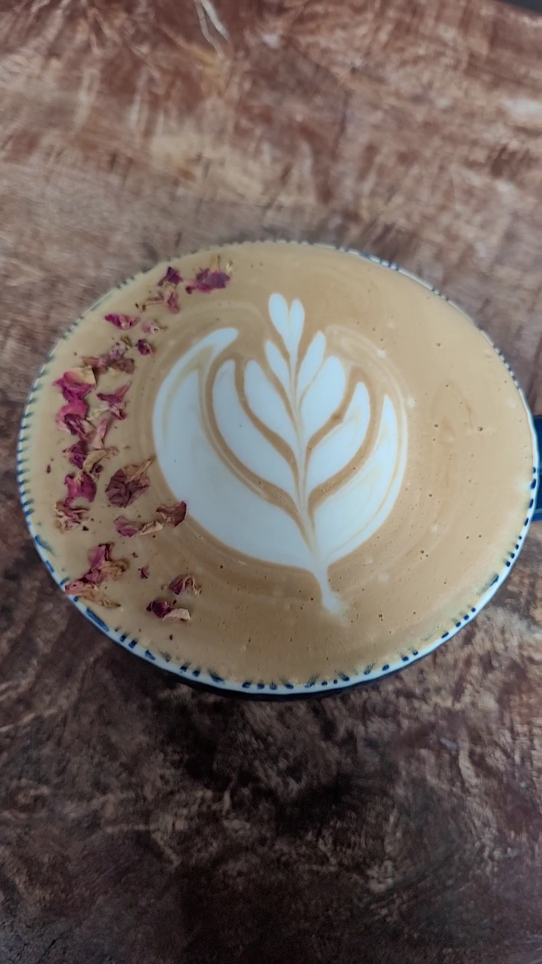 Covernotes Coffee House Richmond Hill