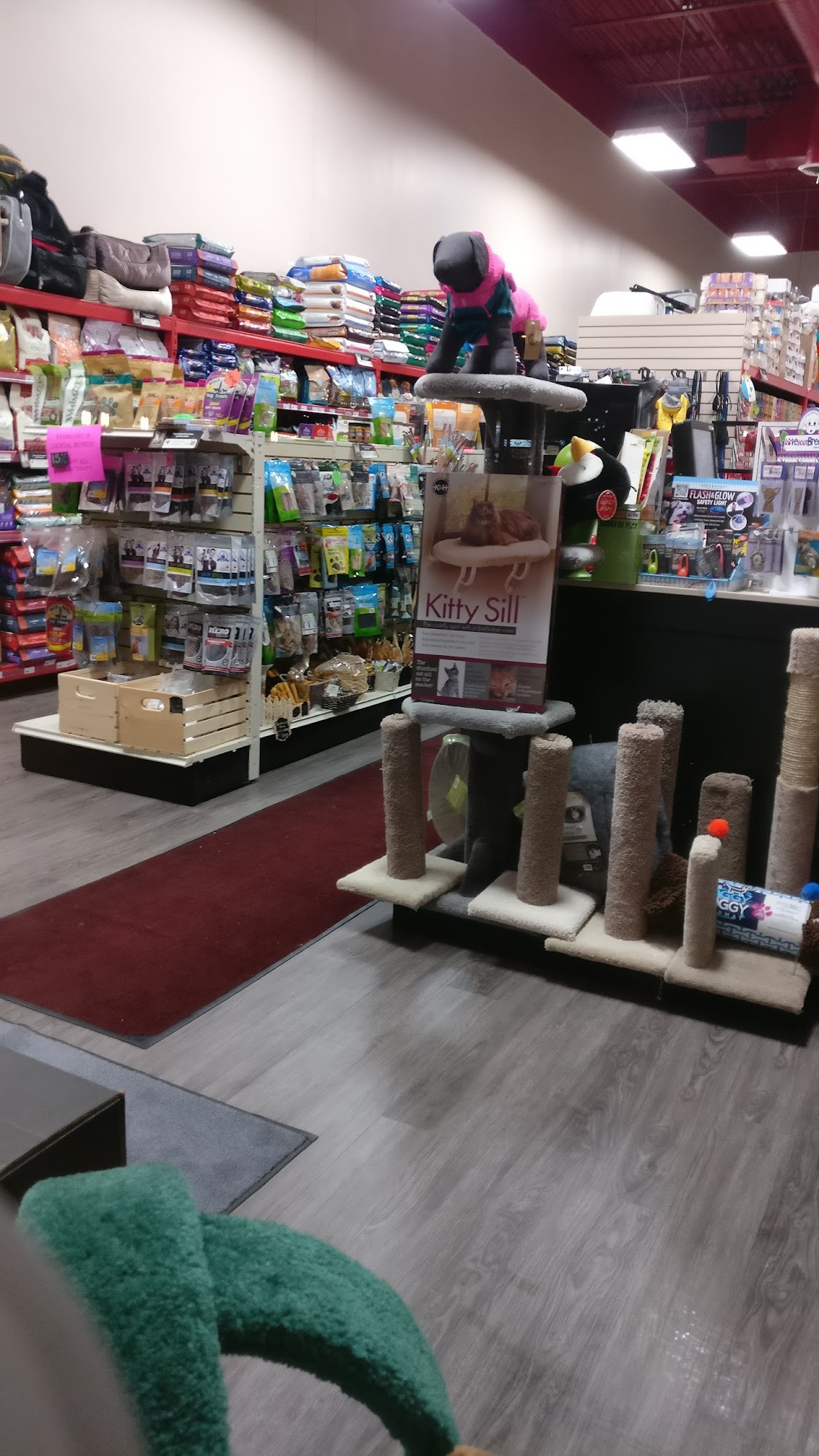 Global Pet Foods Richmond Hill