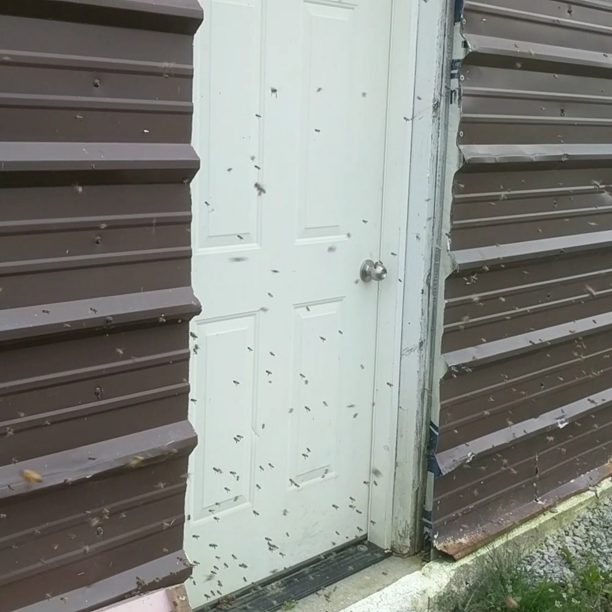 Circling Hawk Honey & Mead Richmond Hill