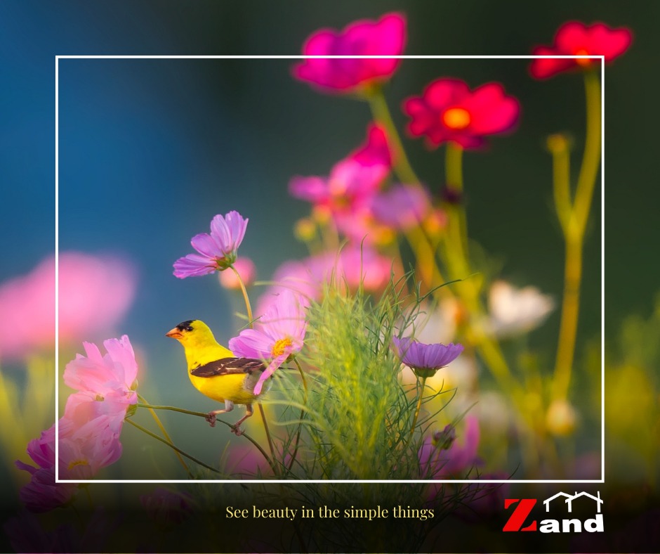 Zand Group