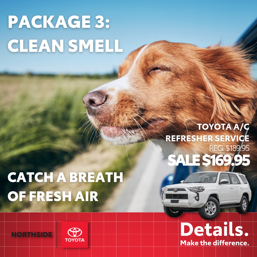 Polished Auto Detailing by Northside