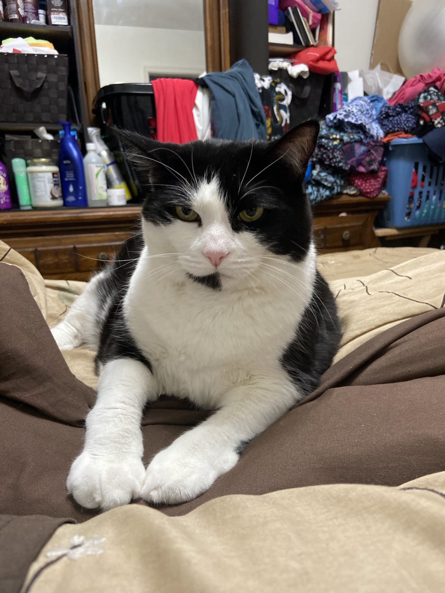 Muddy Paws Pet Food, supplies & Grooming Salon Scarborough