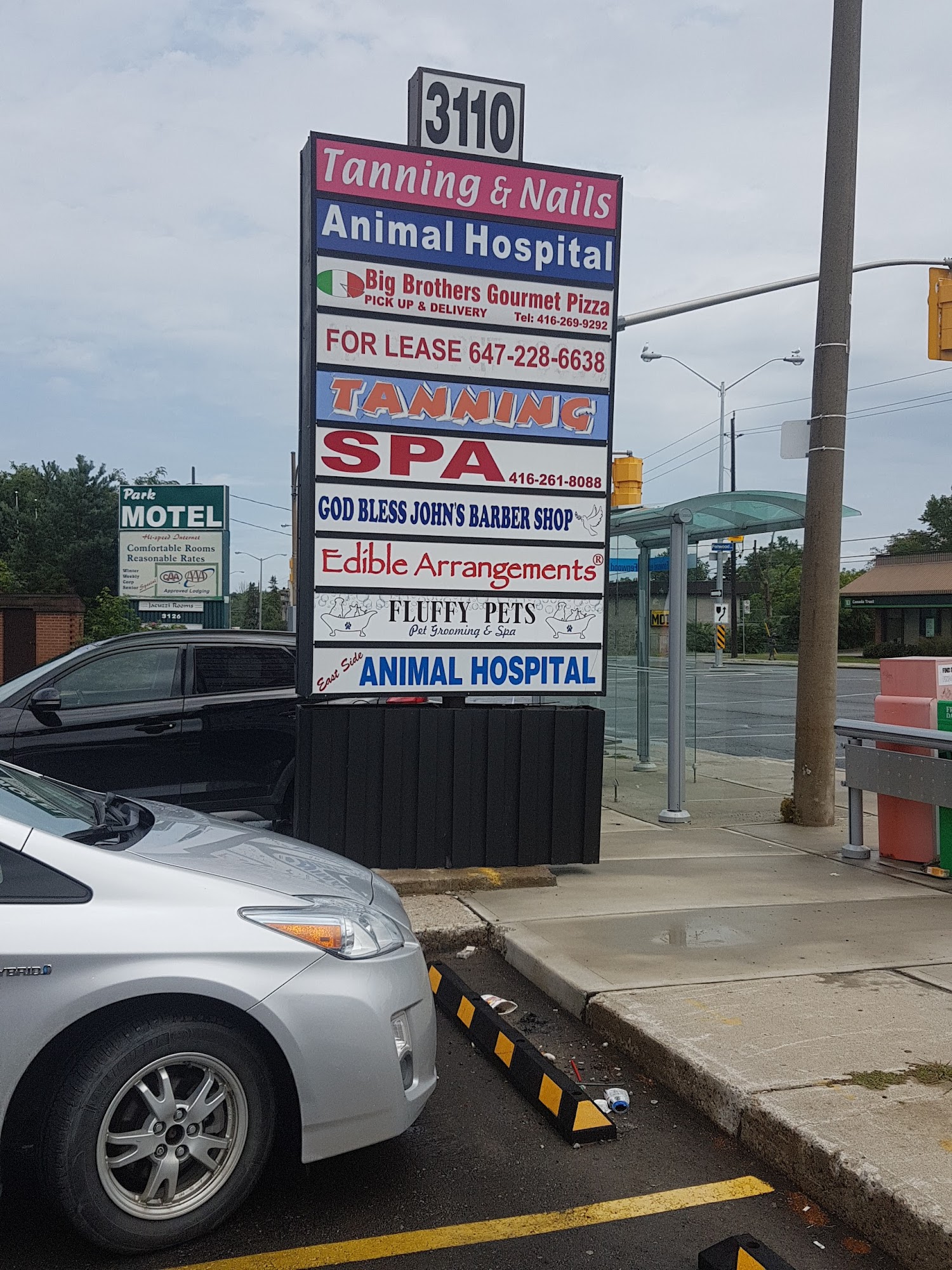 Fluffy Pets Scarborough