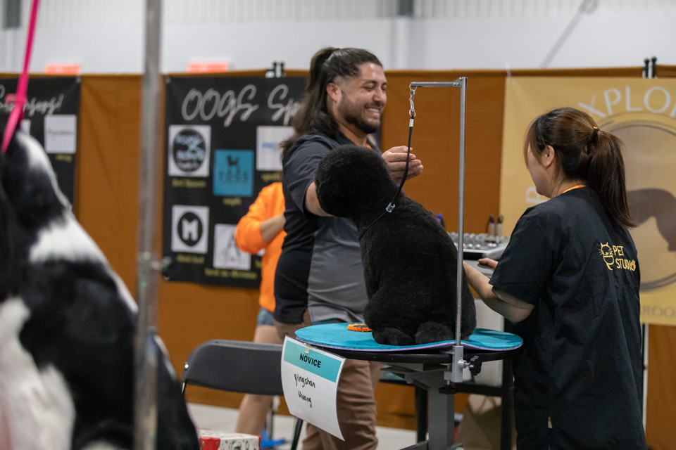 C&D Pet Studio Scarborough Scarborough