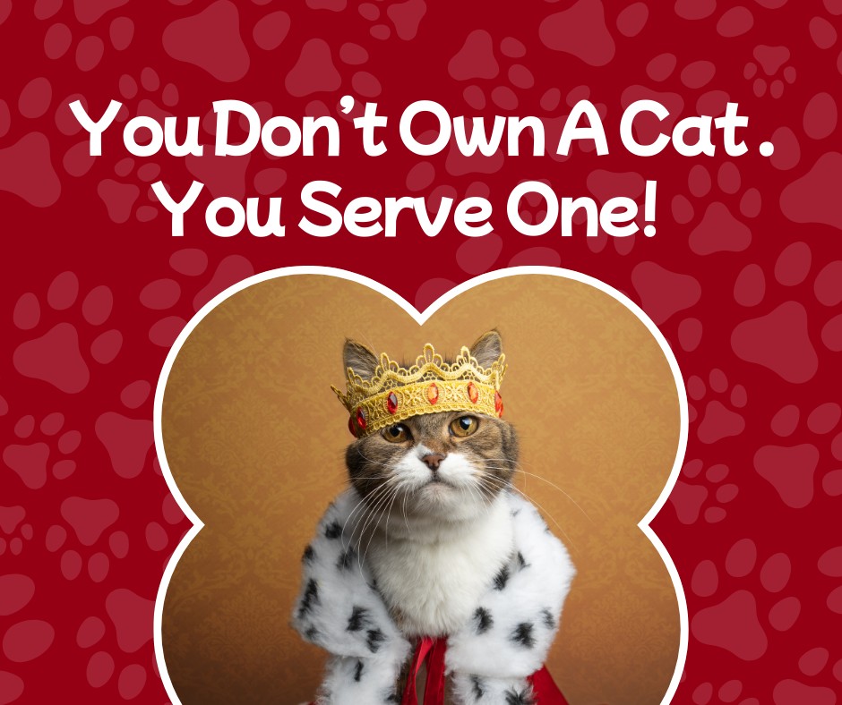 Birch Dan Animal Hospital Scarborough