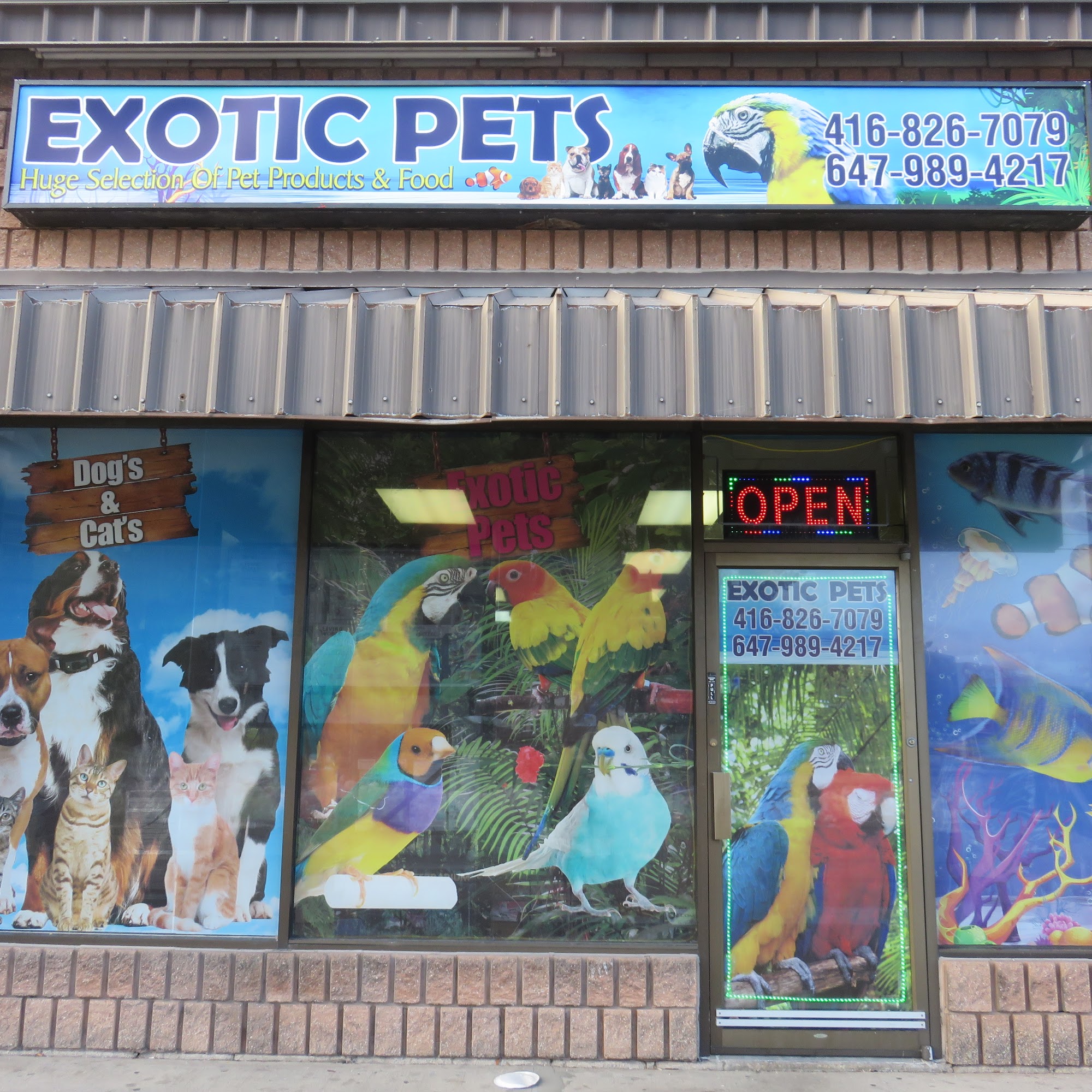 Exotic Pets Toronto Scarborough