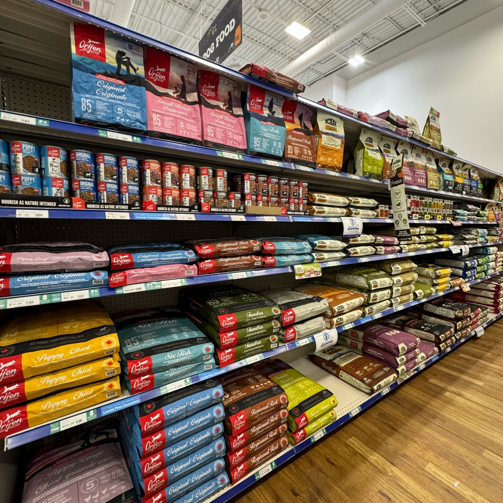 Ren's Pets Scarborough