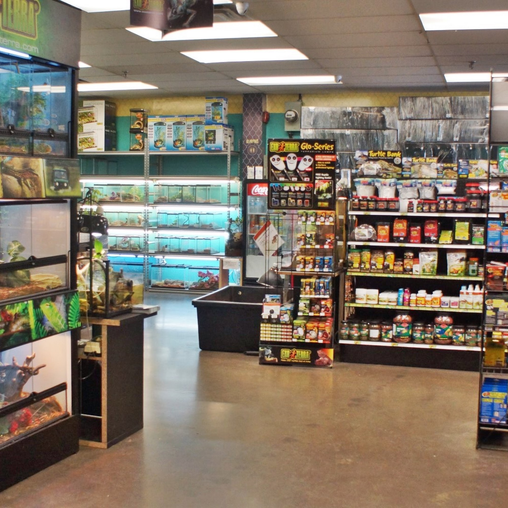 All Reptiles Scarborough