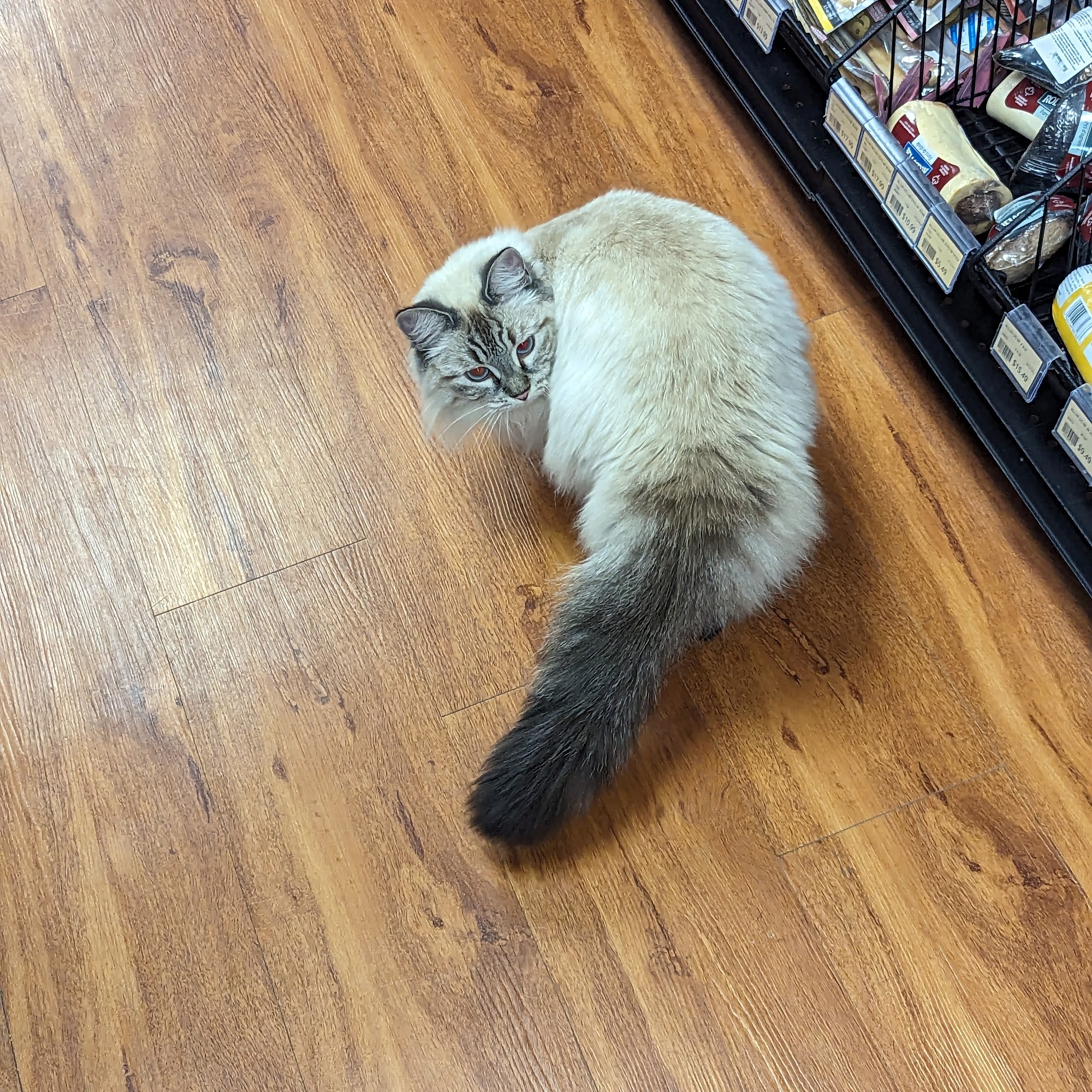 Pet Valu Scarborough