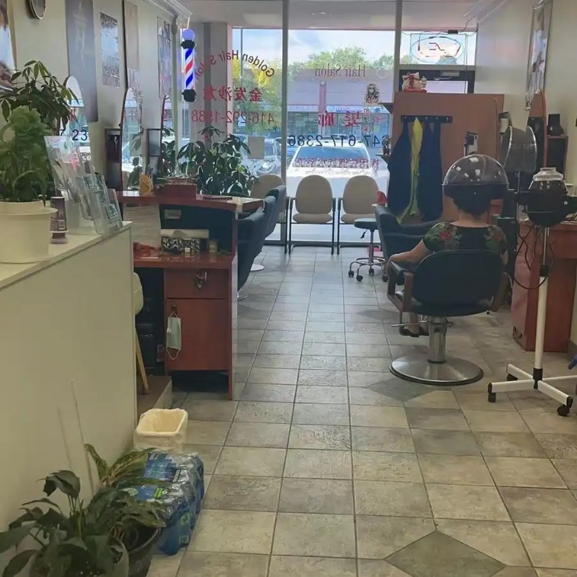 Golden Dynasty Hair Salon