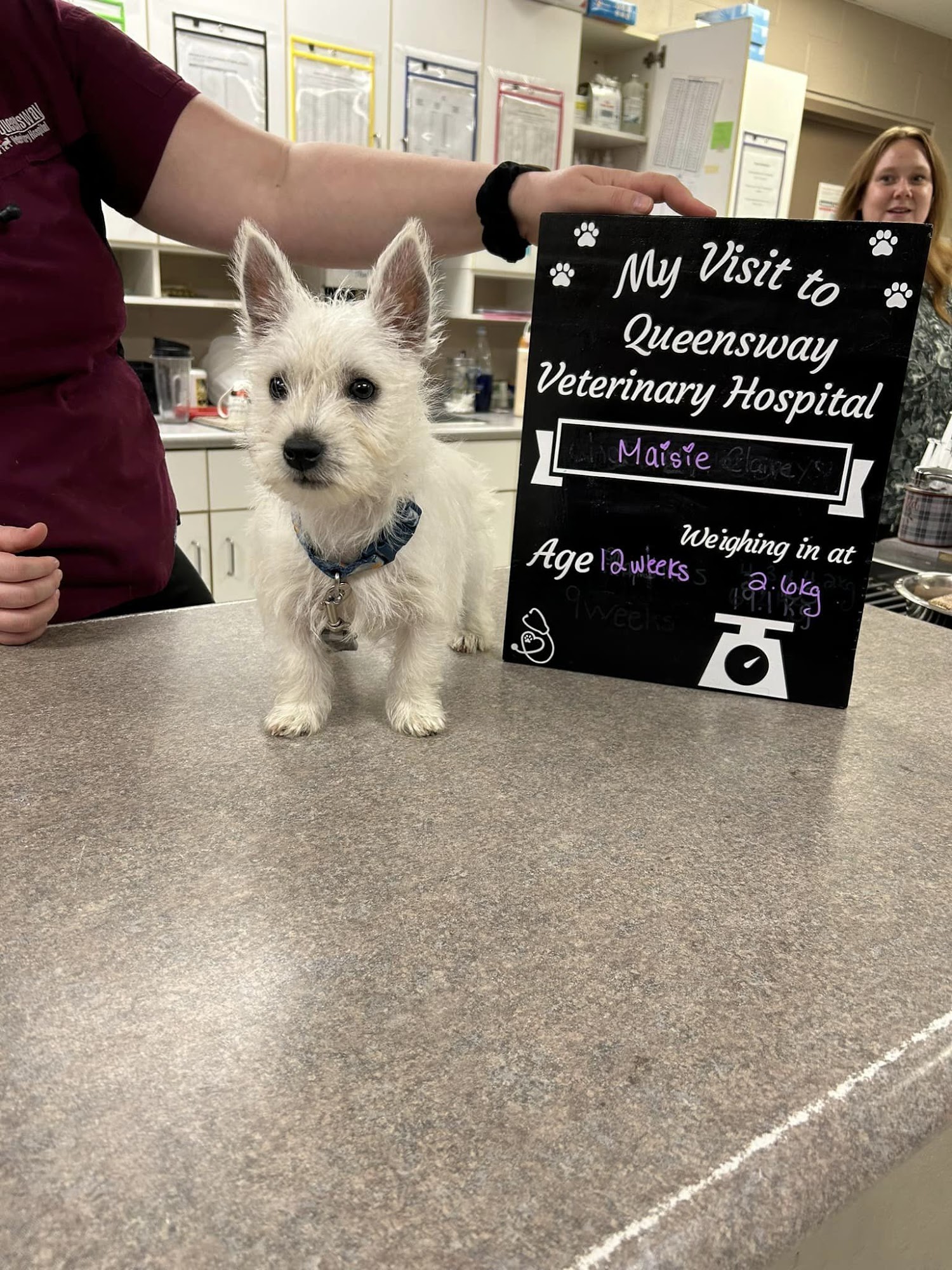 Queensway Veterinary Hospital Simcoe