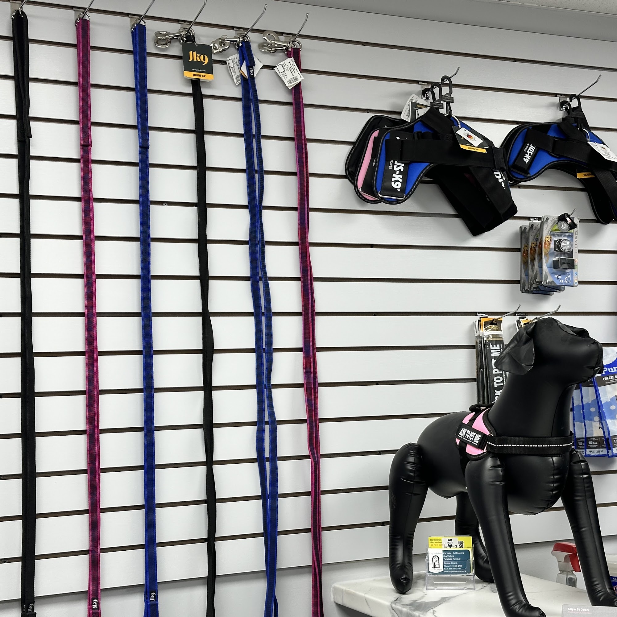 Pawsitive vibez pet grooming Simcoe