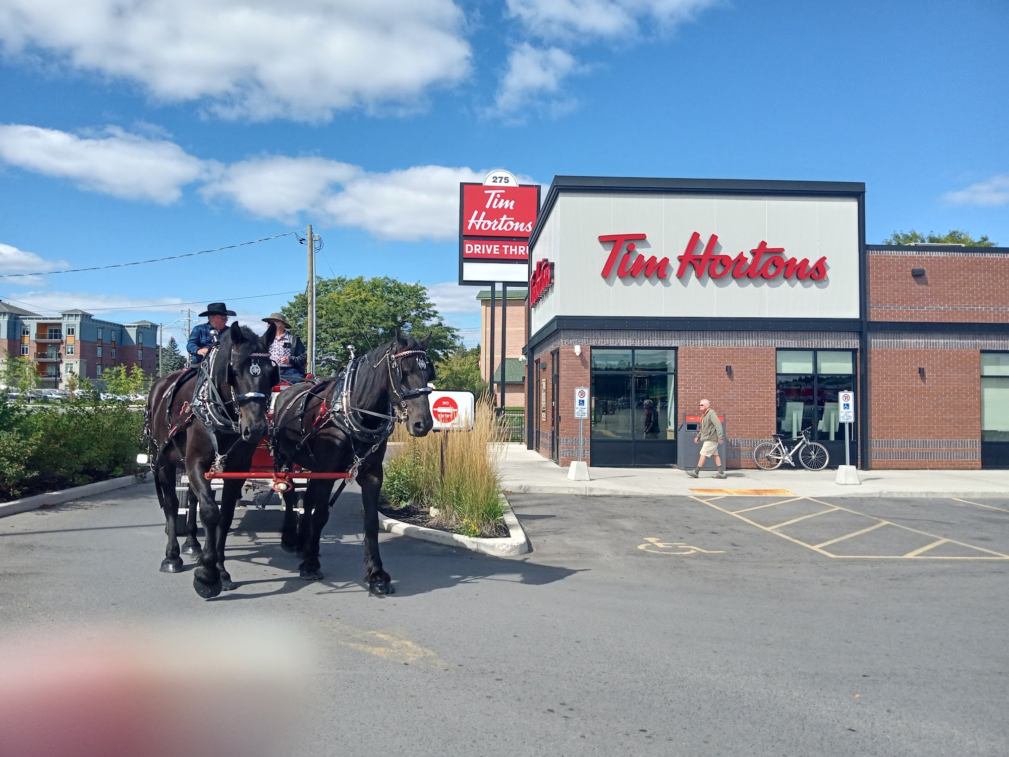 Tim Hortons