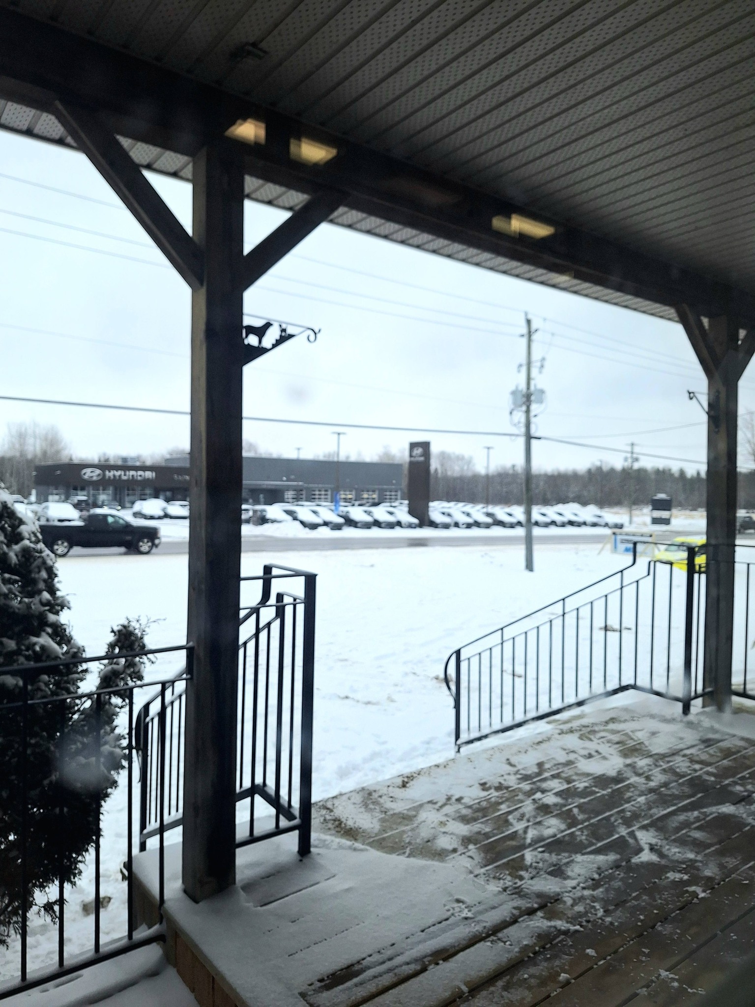 Smiths Falls Veterinary Services Smiths Falls