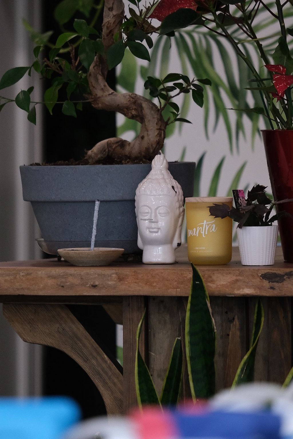 Photo credit: happycow