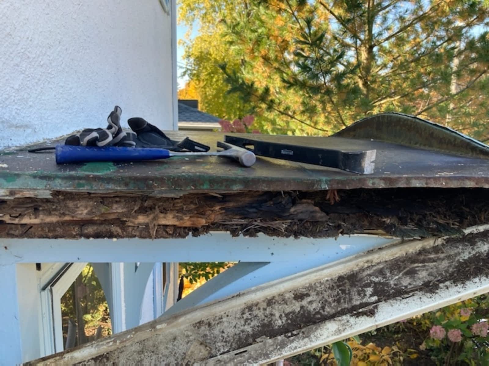 Photo credit: yellowpages.ca