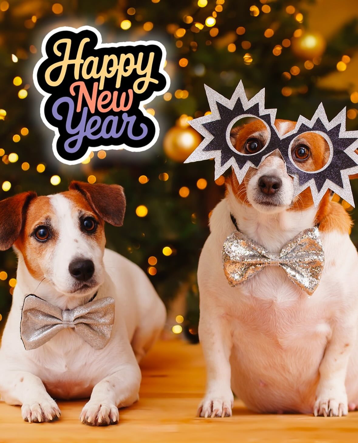 Global Pet Foods St. Catharines