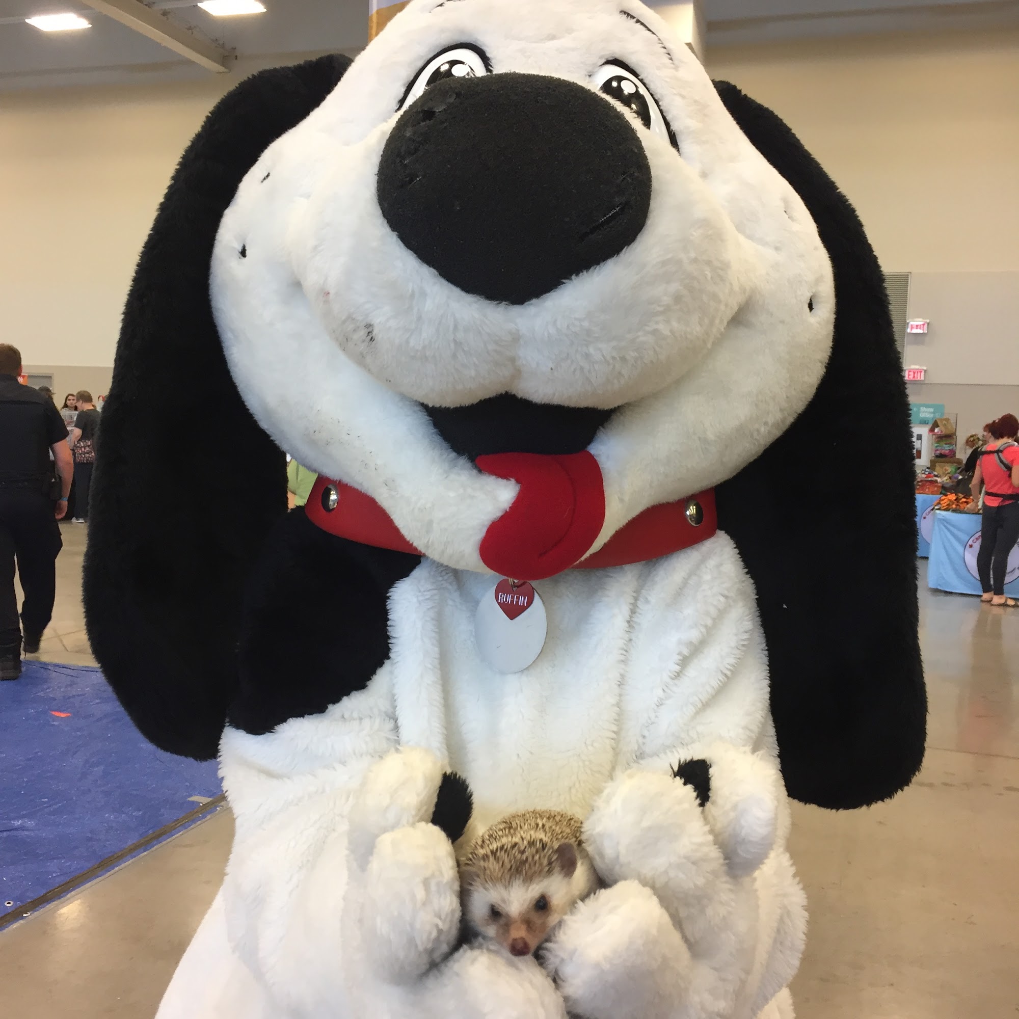 Ruffin's Pet Nutrition Centre - St. Catharines St. Catharines