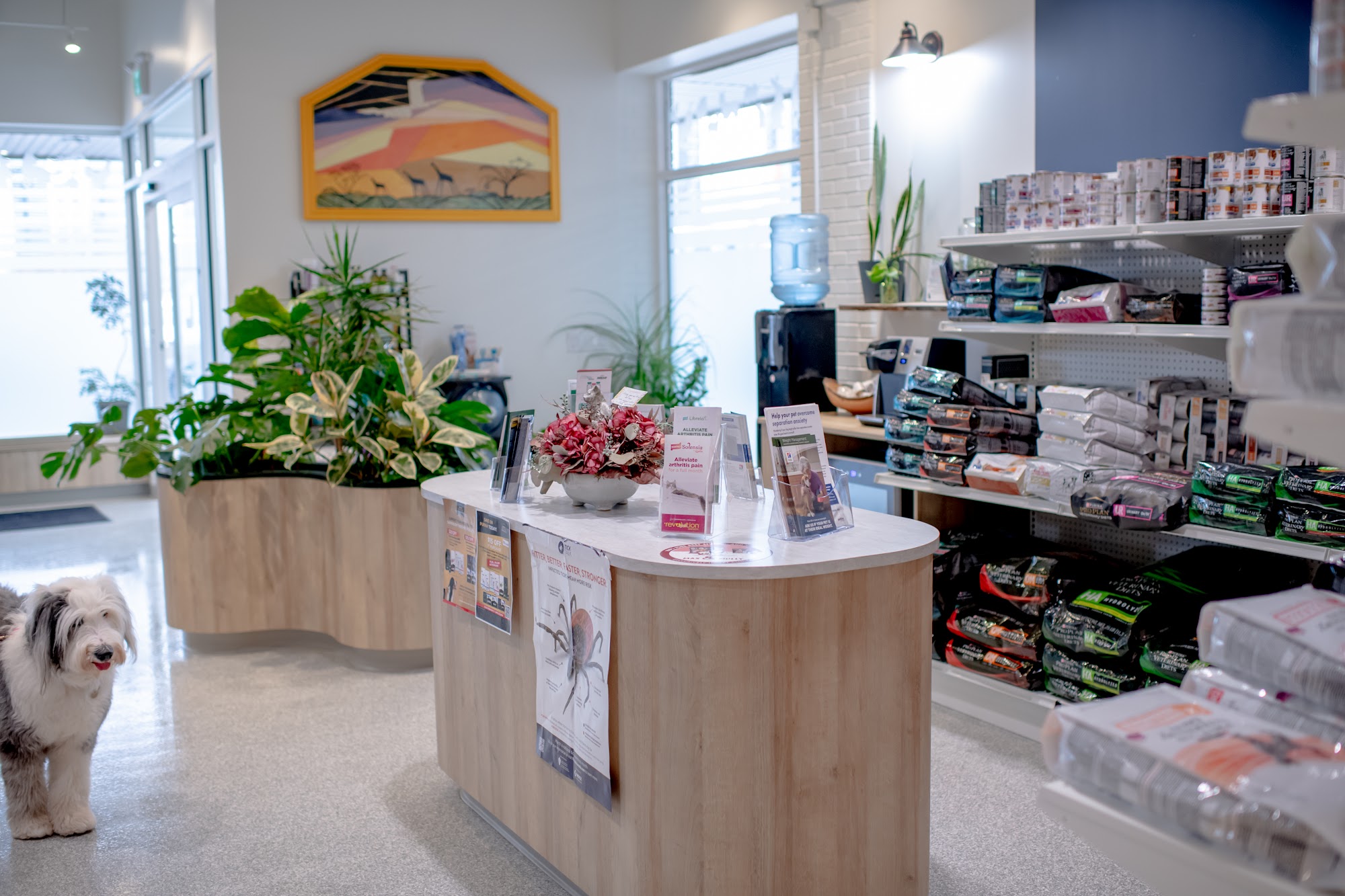 Glenridge Animal Hospital St. Catharines