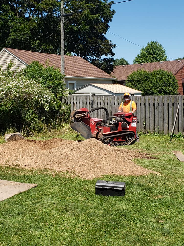 Terry's Tree Stump Removal