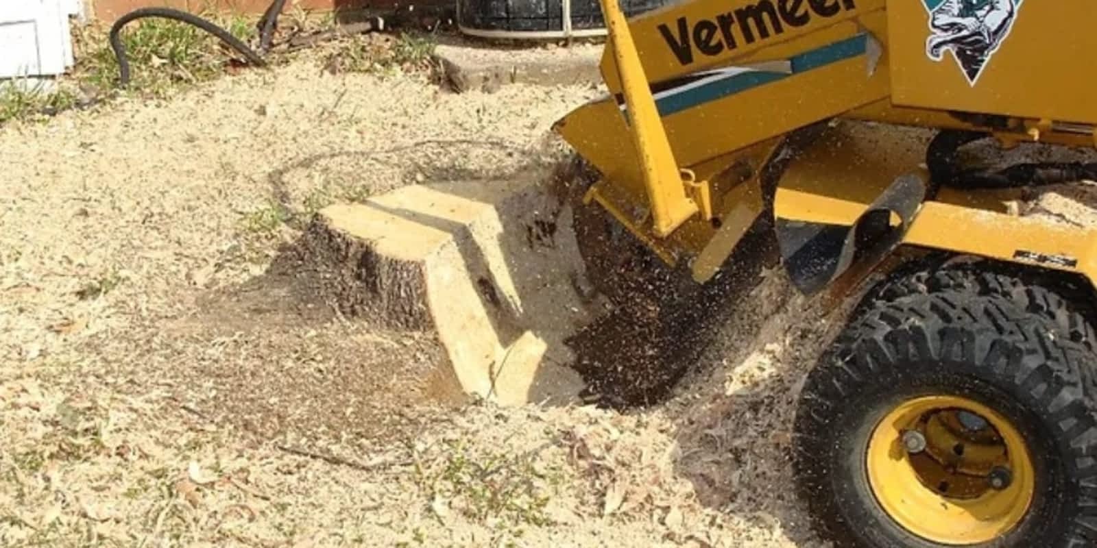 Photo credit: yellowpages.ca