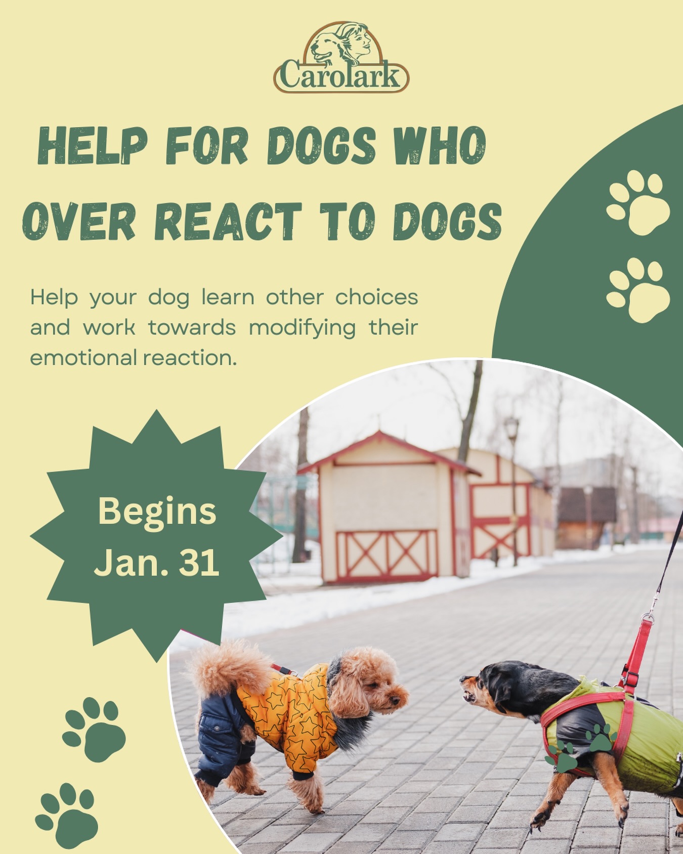 Carolark The Canine Learning Centre Stittsville