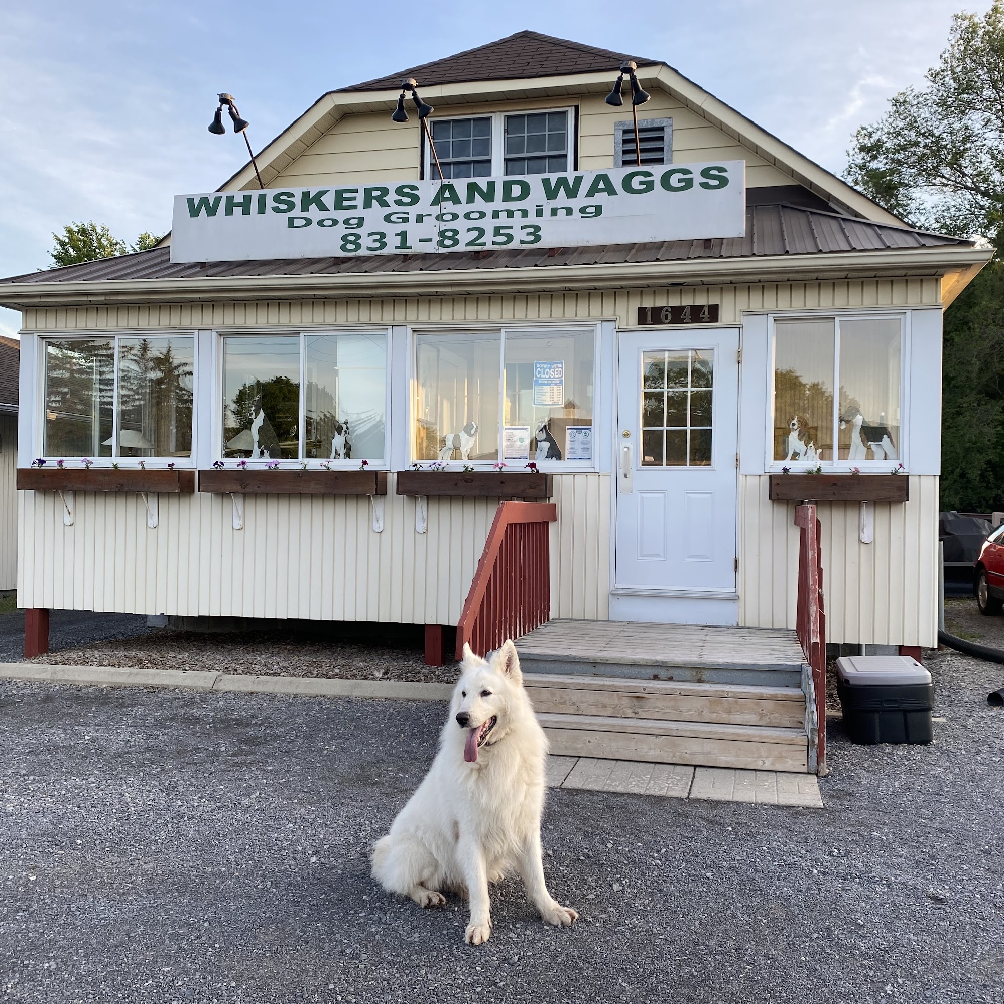 Whiskers And Waggs Stittsville