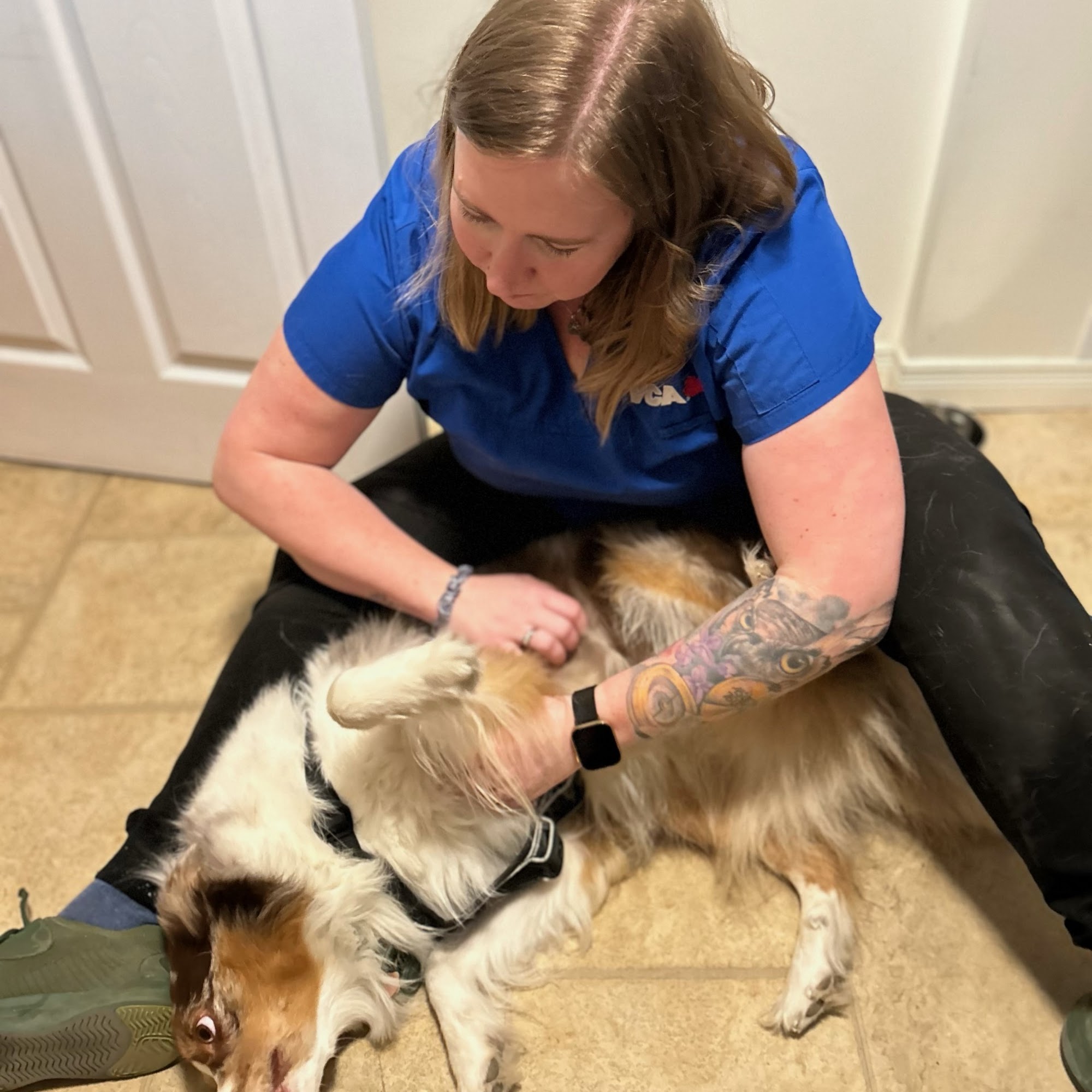 VCA Stittsville Small Animal Clinic Stittsville