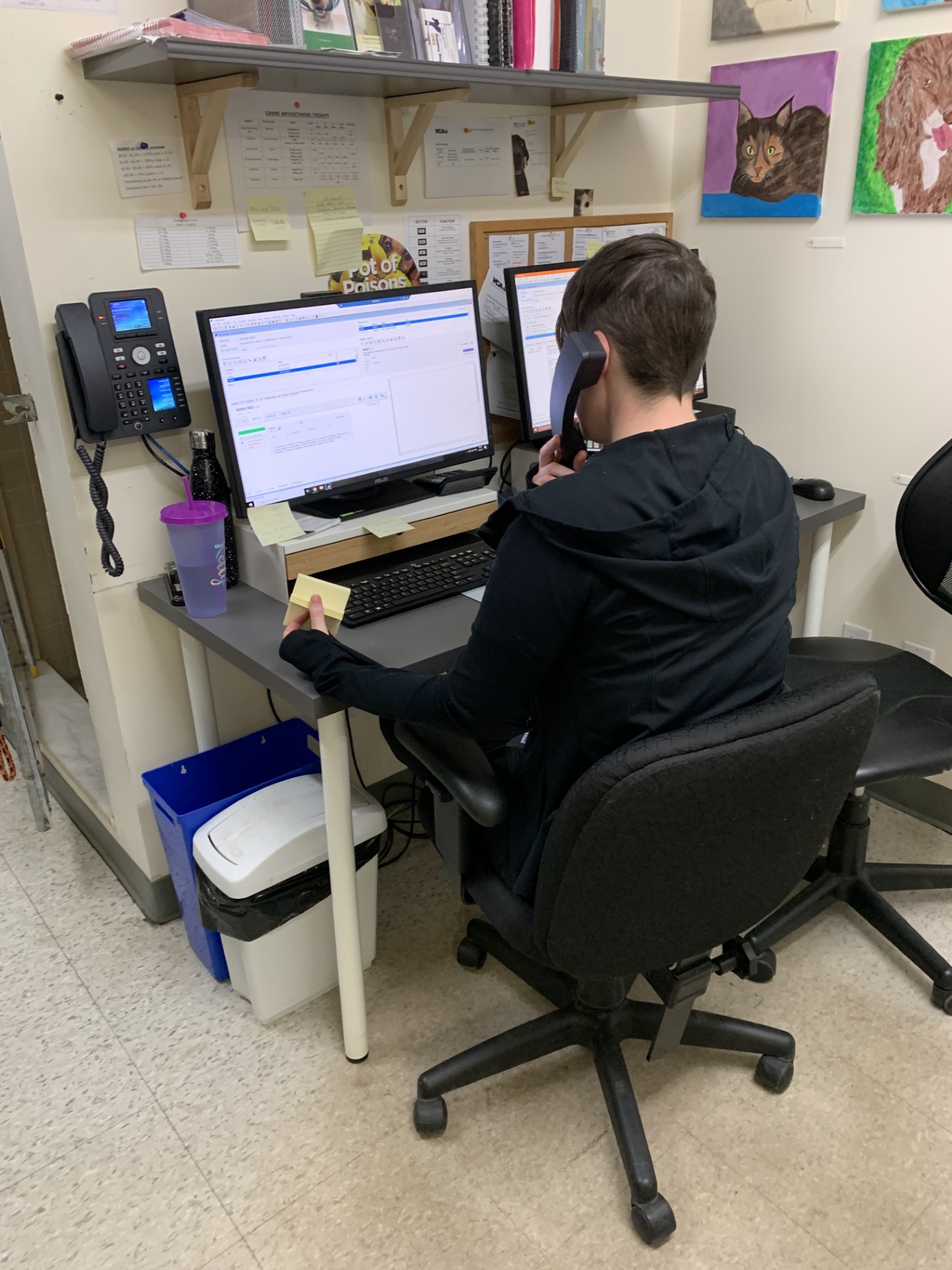 VCA Stittsville Small Animal Clinic Stittsville