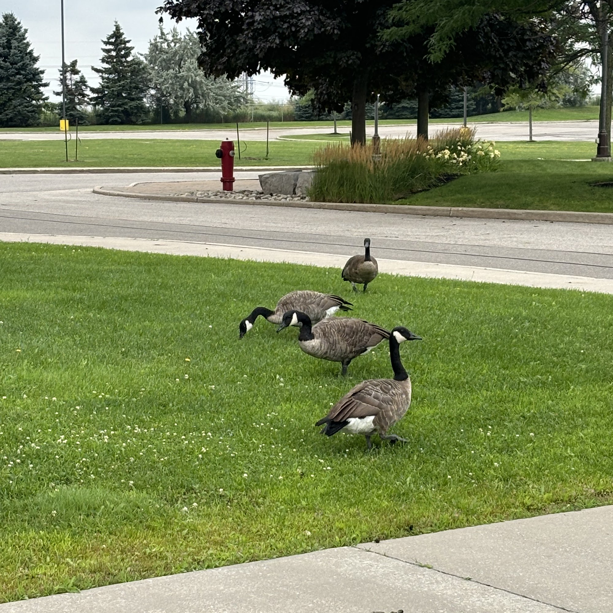 CIBC Wood Gundy York Region Branch