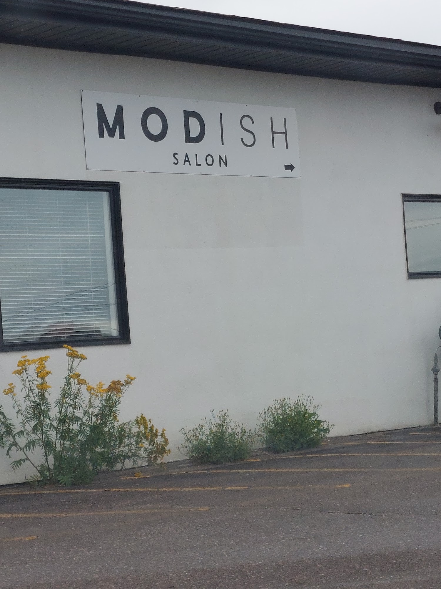 Modish Salon and Spa Thunder Bay