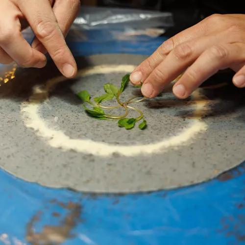 Photo credit: michelin