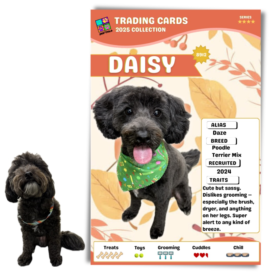 Dee'Tails Dog Grooming Toronto