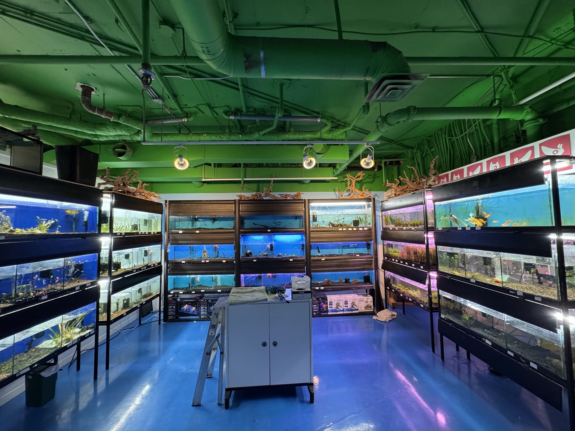 Pet Cuisine And Accessories Toronto