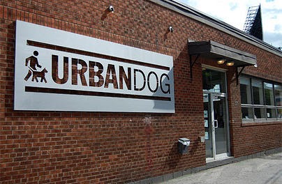 Park9 Downtown- Dog Playcare. Spa. Resort Toronto