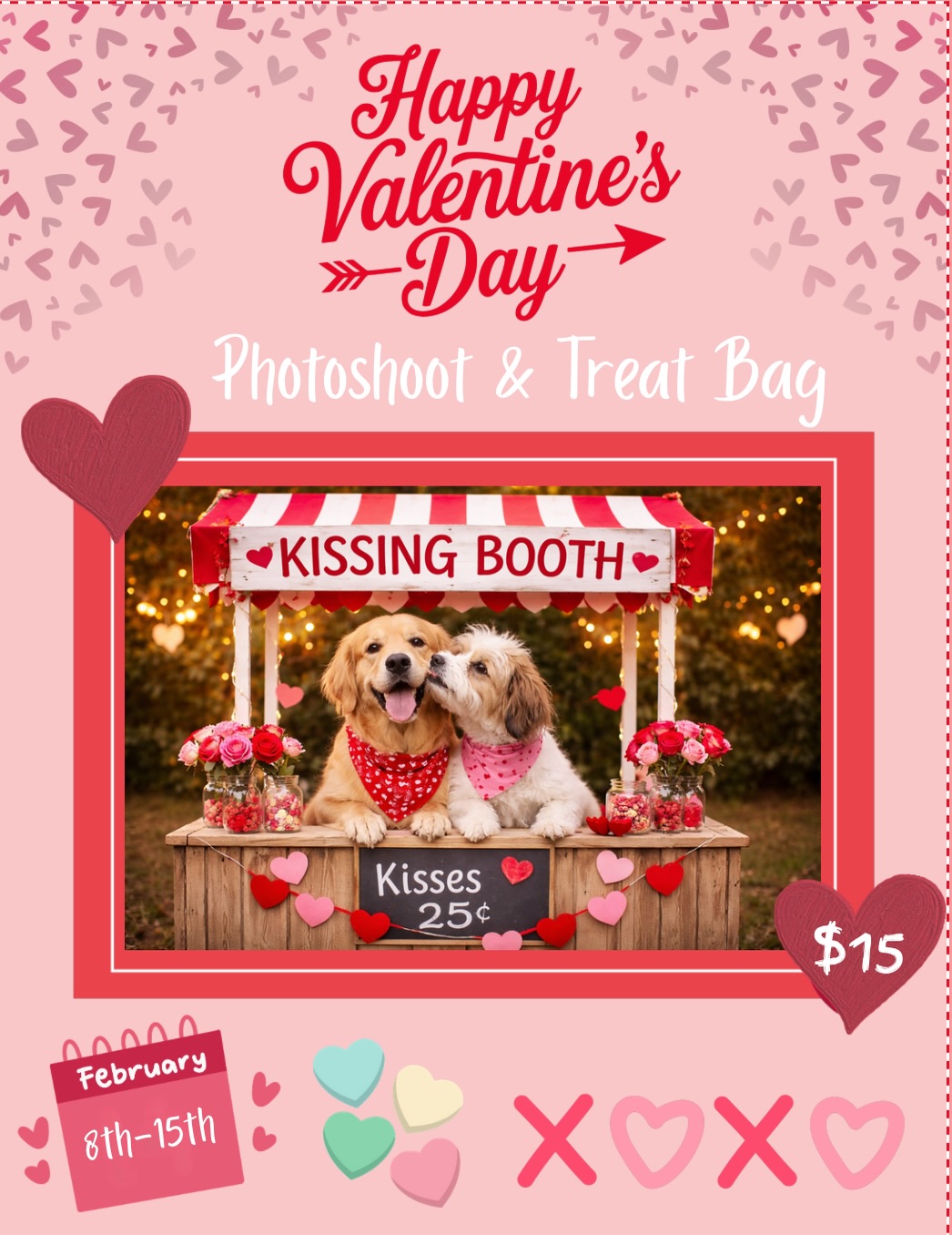 Park9 Downtown- Dog Playcare. Spa. Resort Toronto