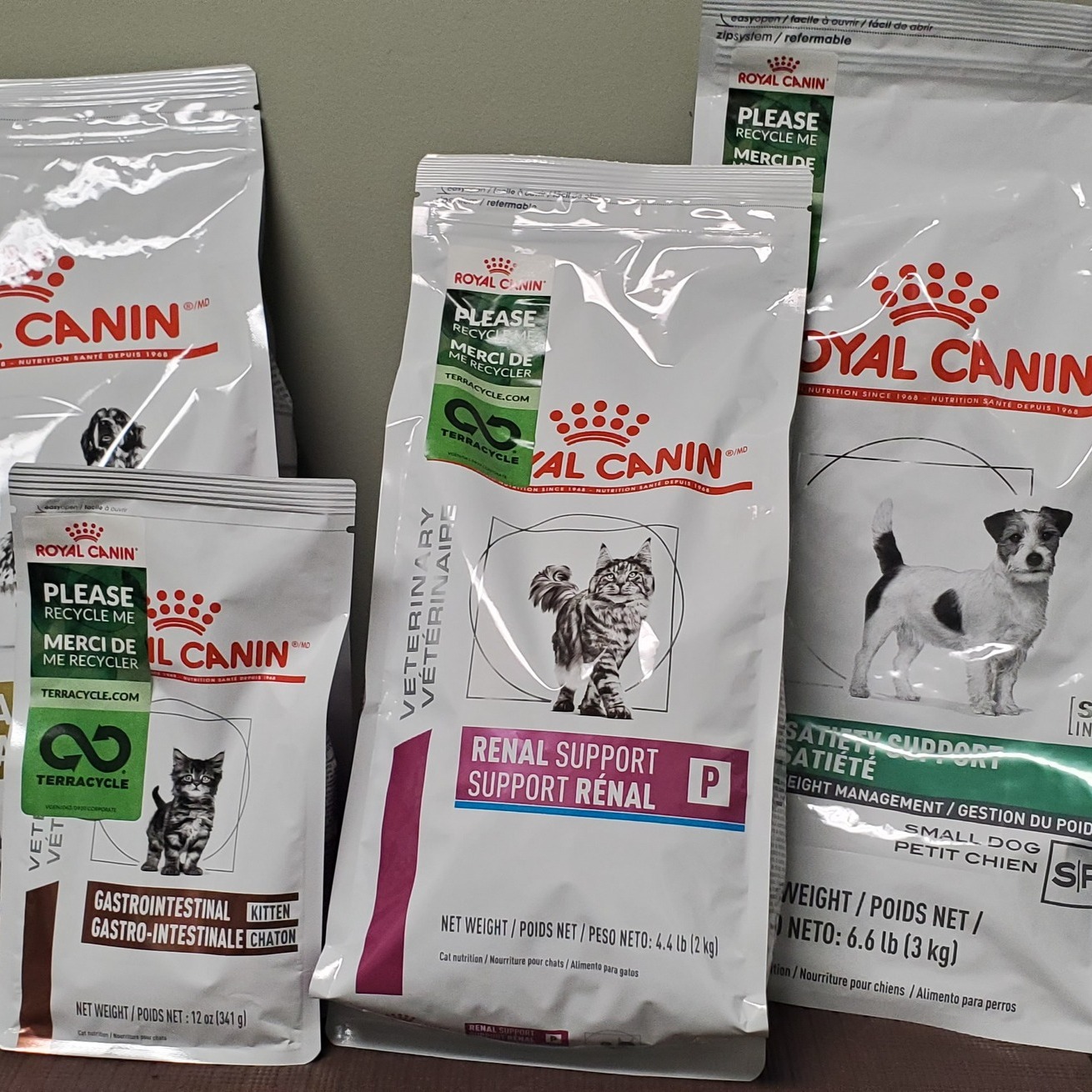 Kato Animal Hospital Toronto