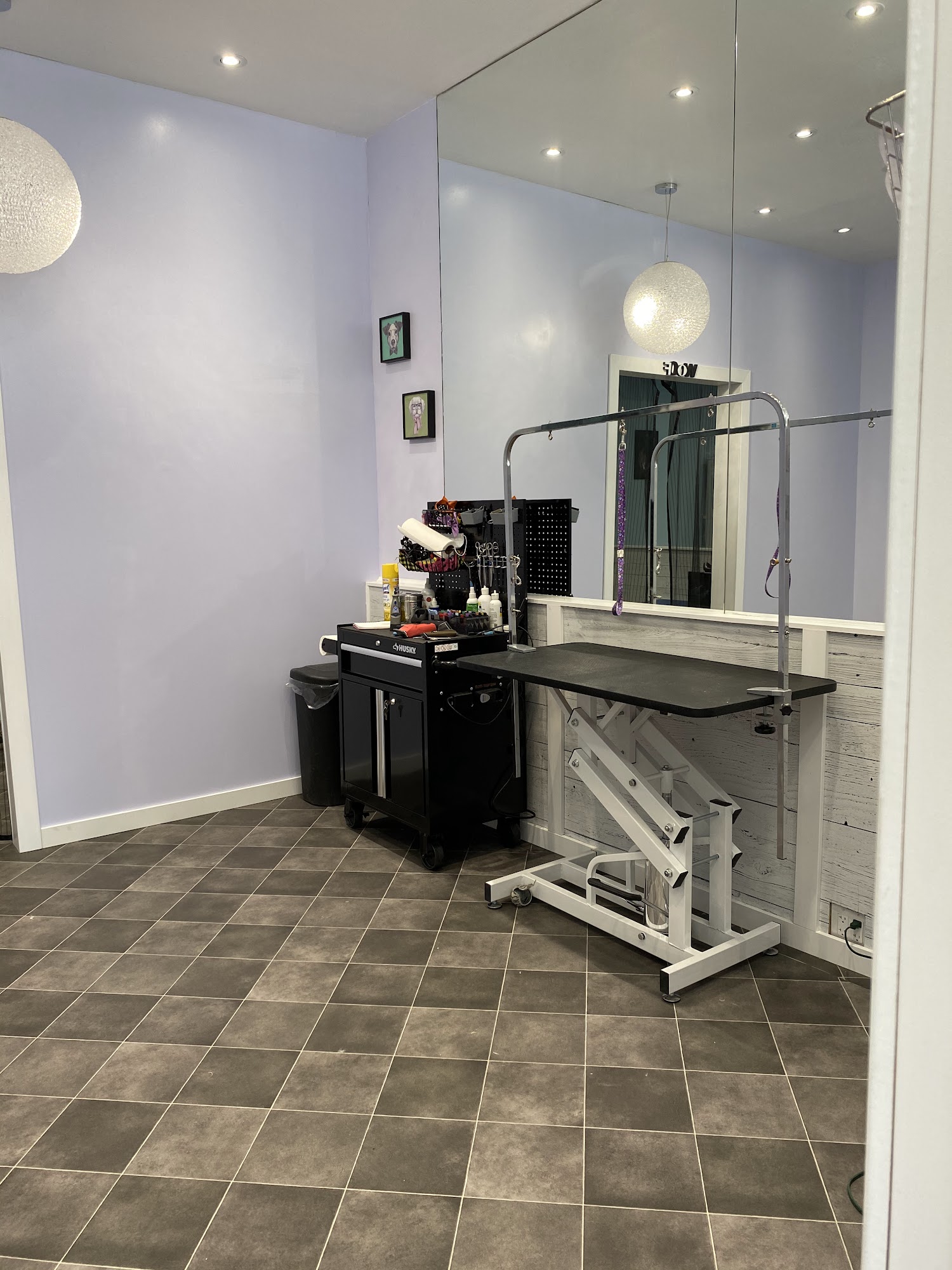 Juno's Dog Grooming Toronto