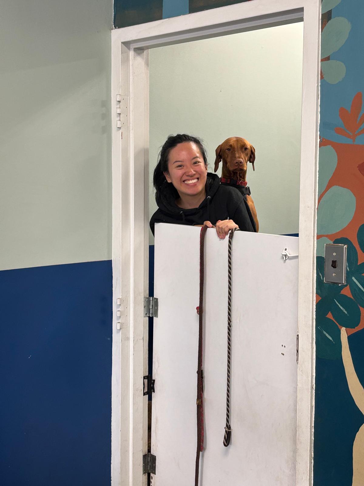 Pack of Paws Toronto