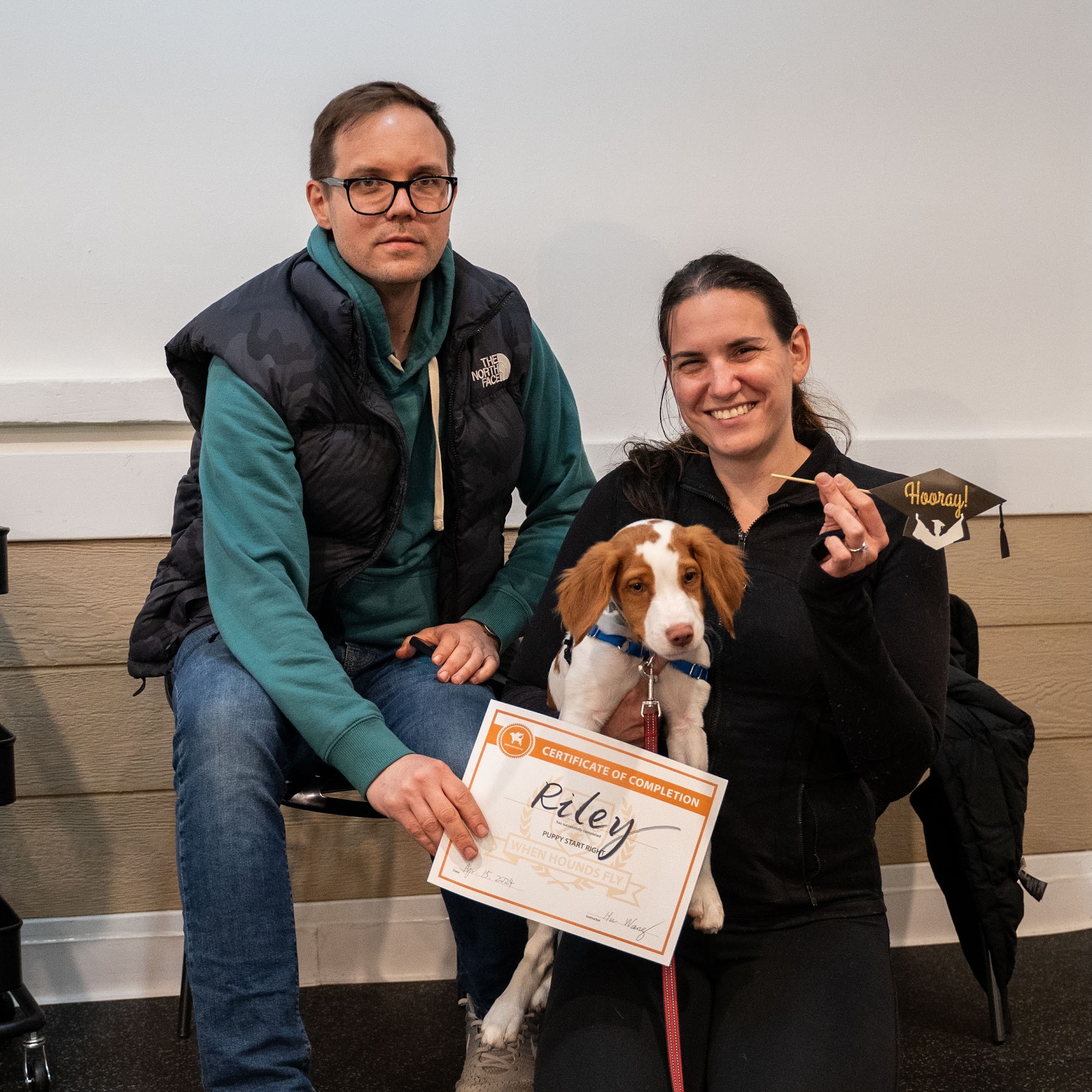 When Hounds Fly (Pape Village) Toronto