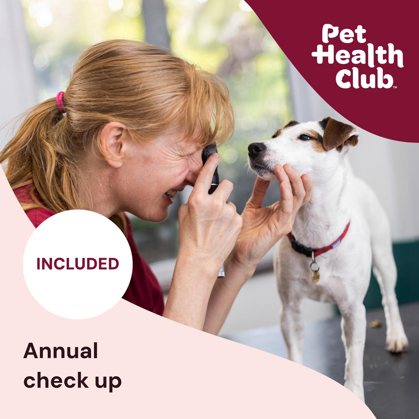 Bloorcourt Veterinary Clinic Toronto