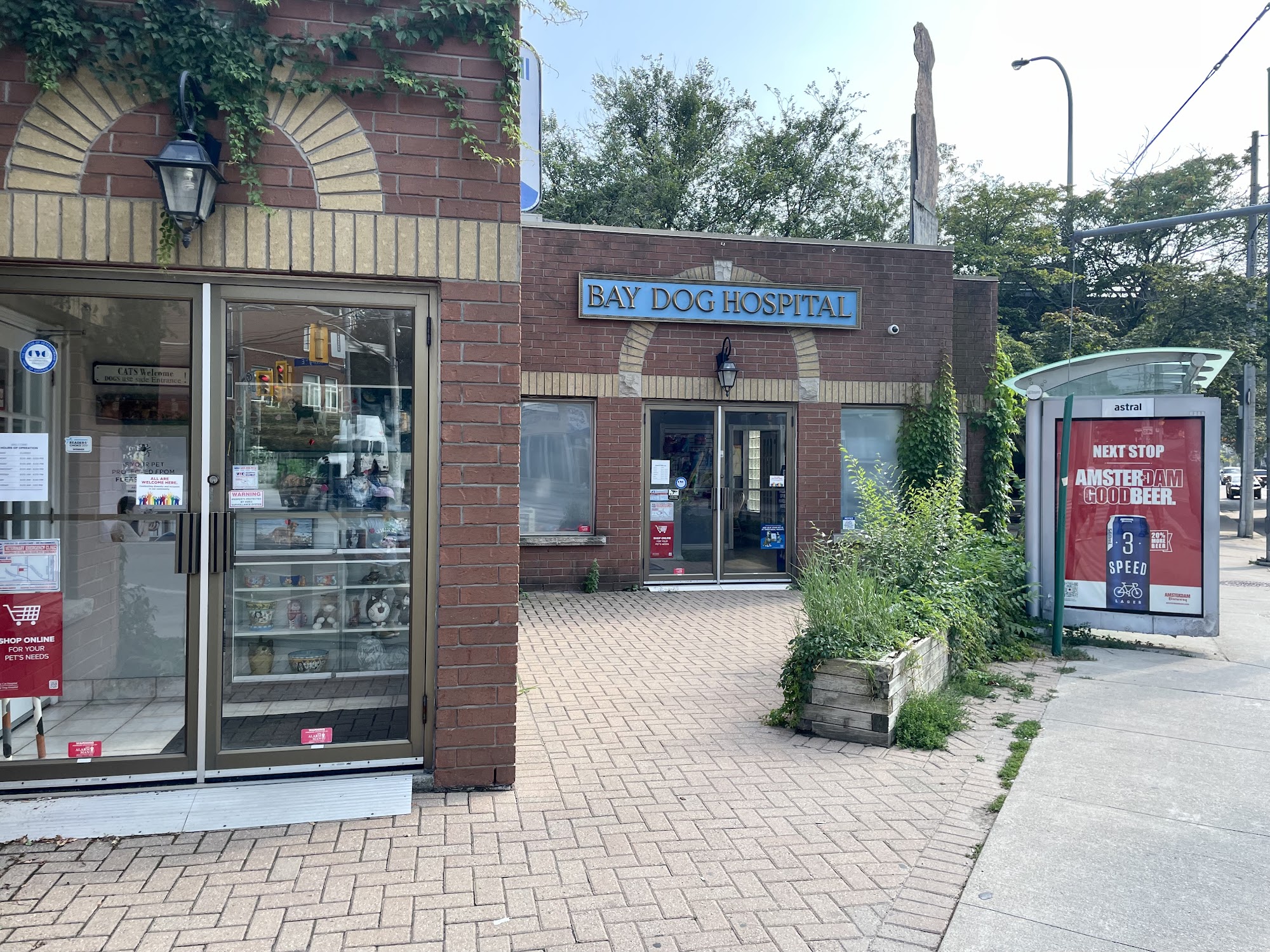 Bay Cat and Dog Hospital Toronto