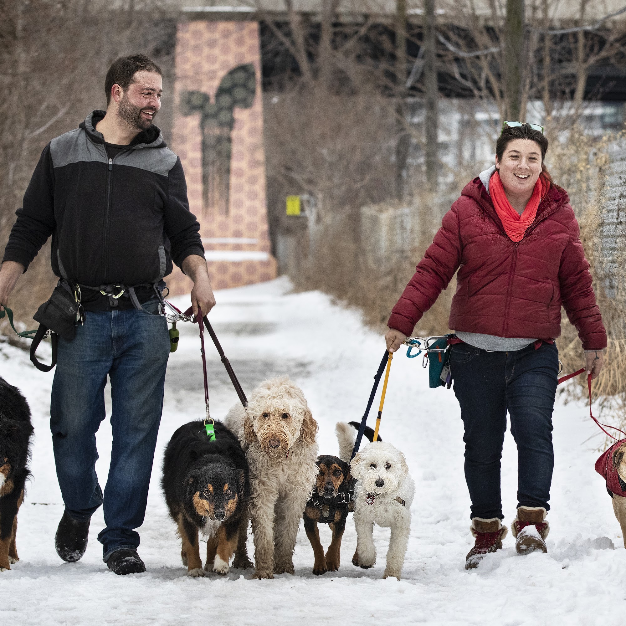 Ruffin' It Dog Walking Toronto