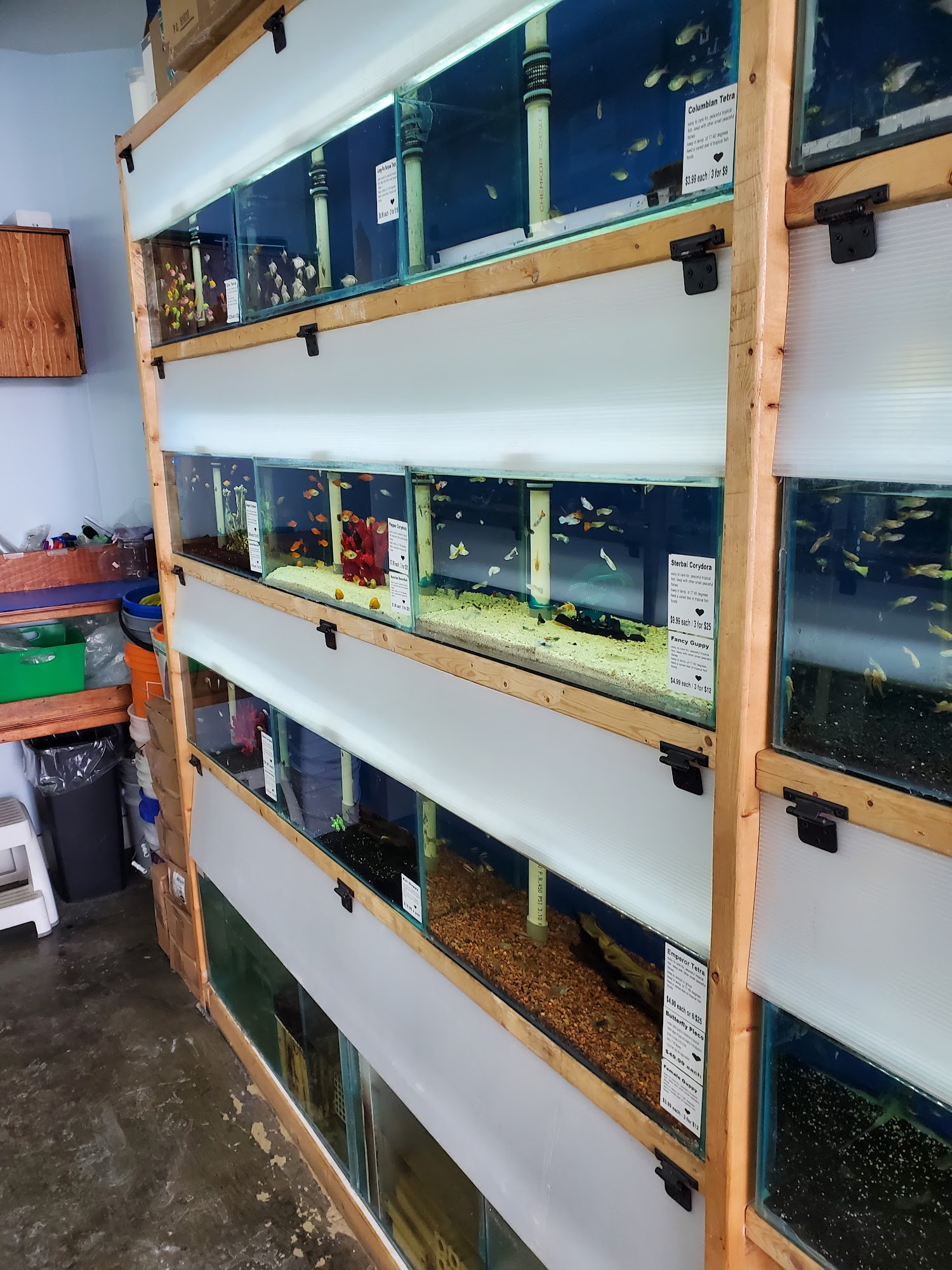 Aqua Tropics Toronto