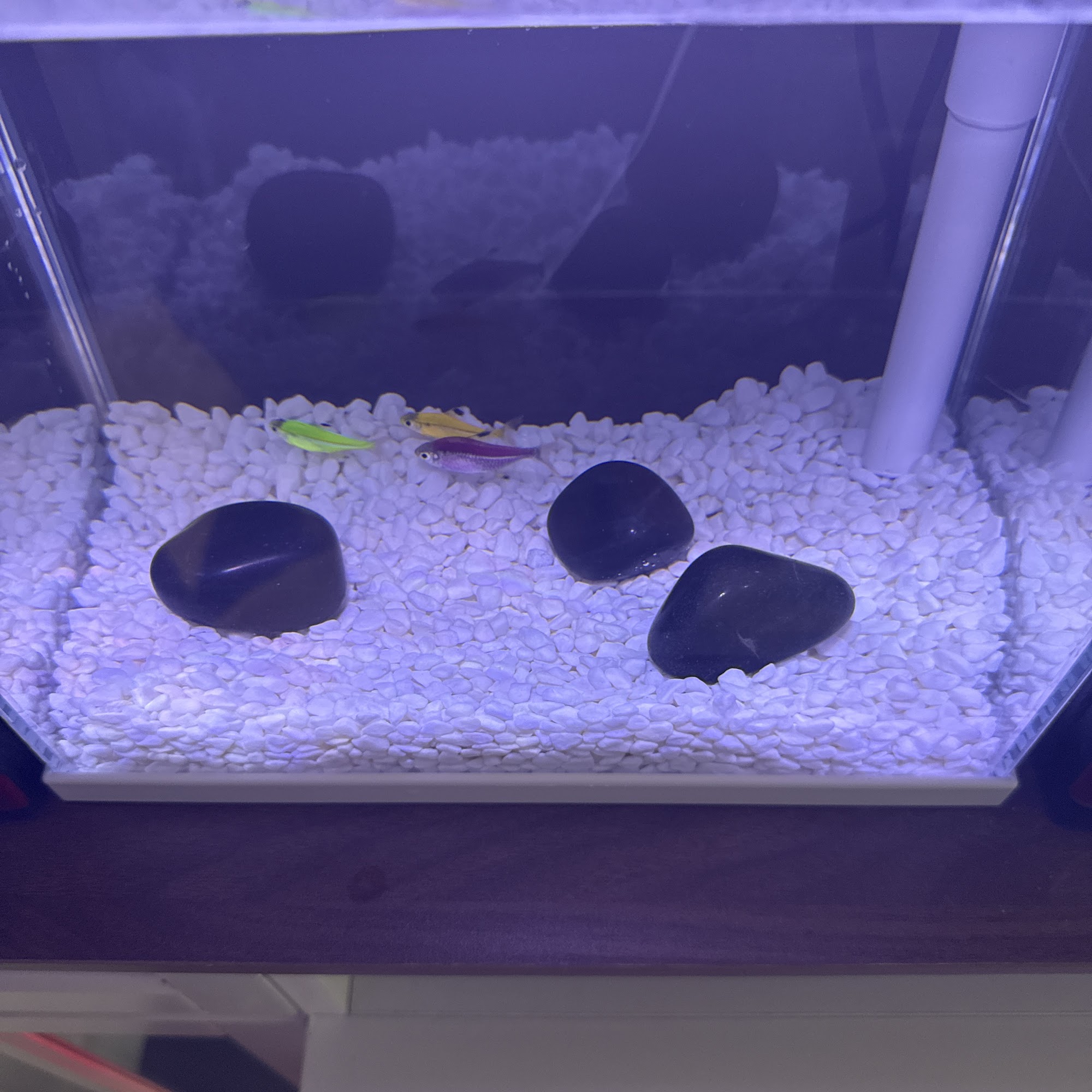 Aqua Tropics Toronto