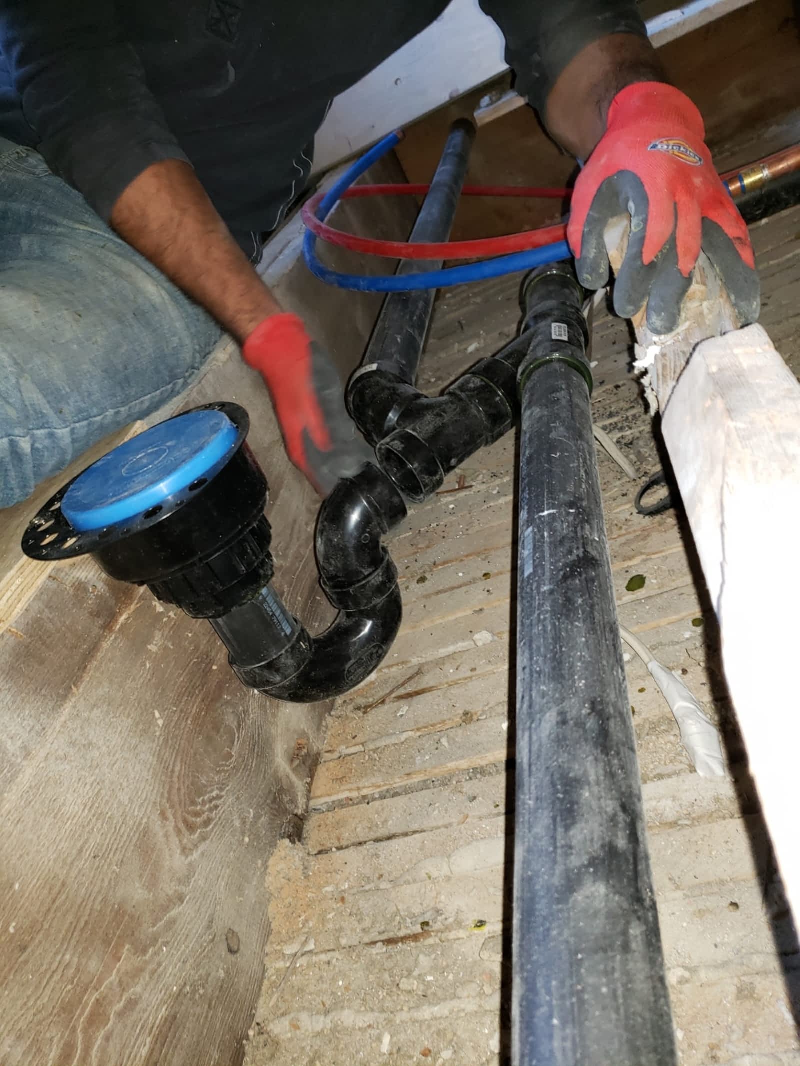 Photo credit: yellowpages.ca