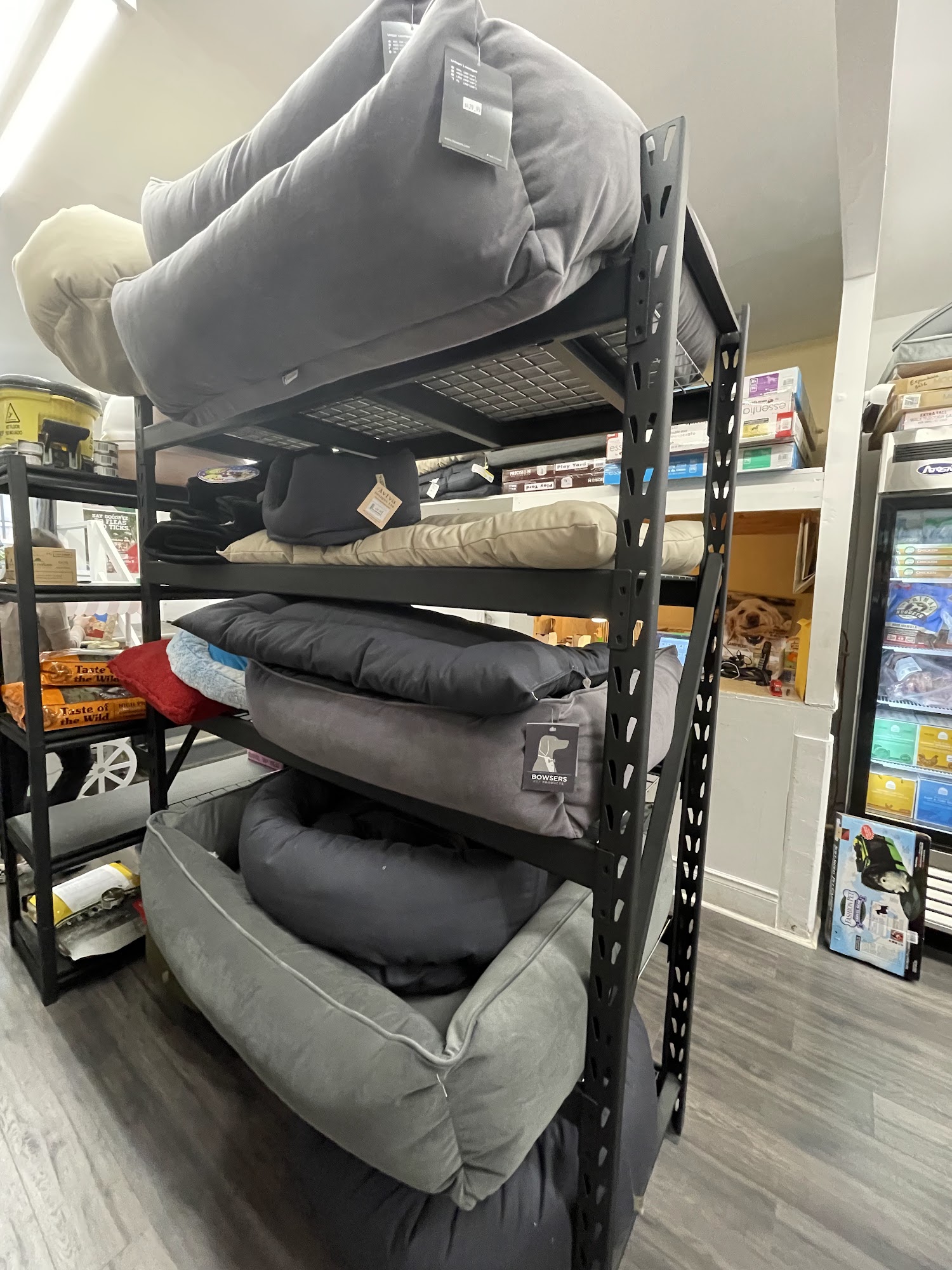 Leaside Pets Toronto